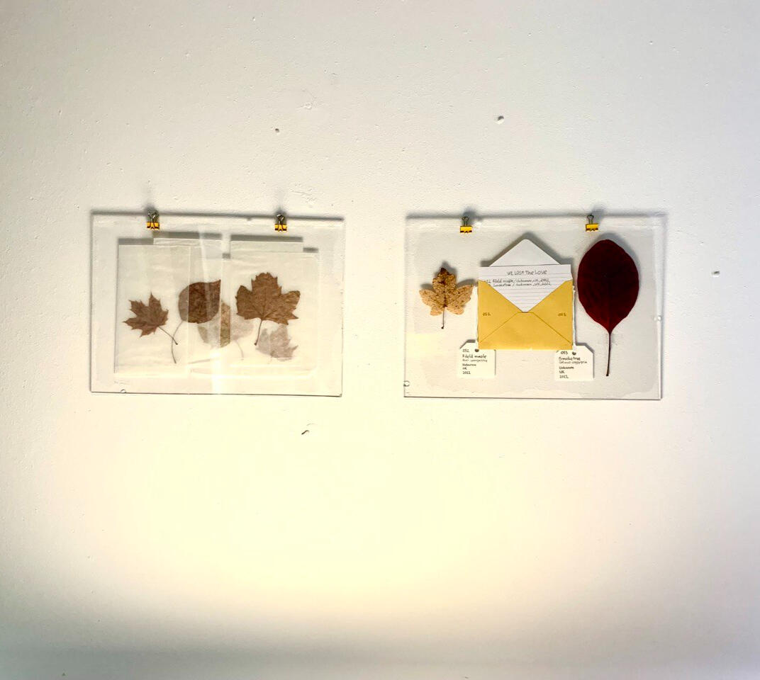 Untitled Untitled